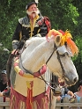 SFaire_1400Joust (16)